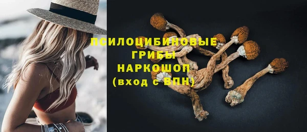 прущие крисы Няндома
