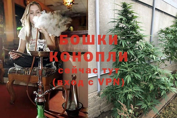 прущие крисы Няндома