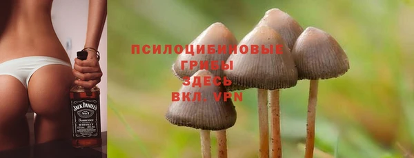 кристаллы Нязепетровск